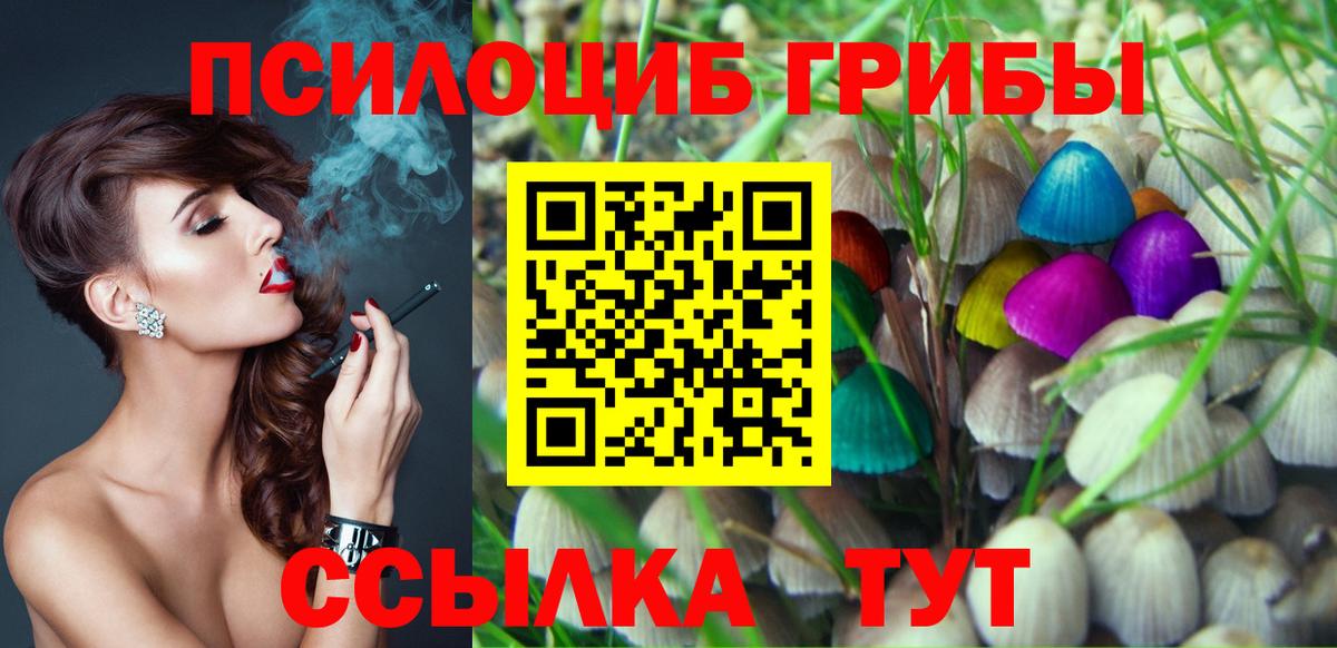 Псилоцибиновые грибы прущие грибы  Вход с VPN  Железноводск 